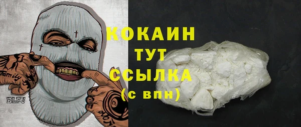 индика Белоозёрский
