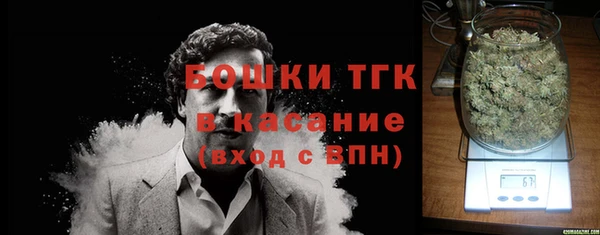 индика Белоозёрский