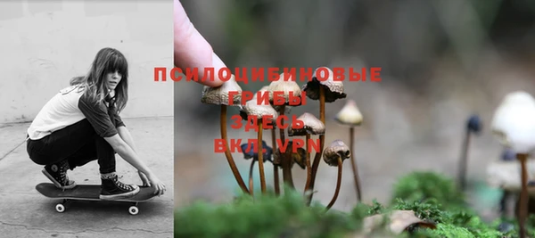 сатива Белокуриха