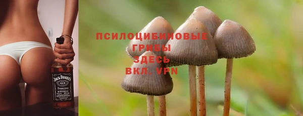 дмт Богородск