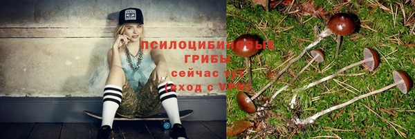 мескалин Богородицк