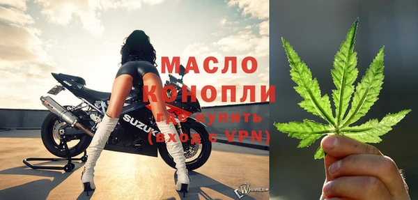 дмт Богородск