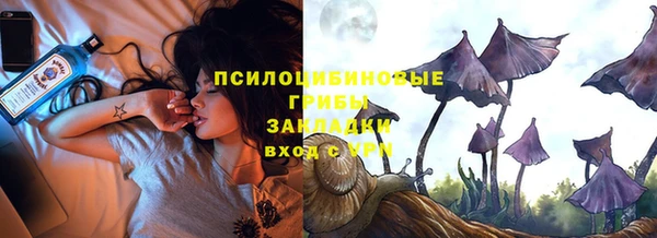 сатива Белокуриха