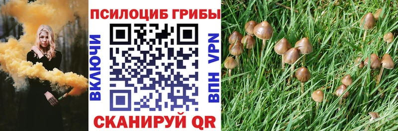 Галлюциногенные грибы Psilocybe  Володарск 